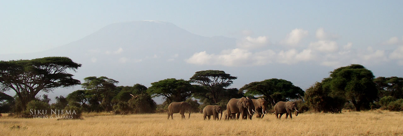 2 Days Amboseli Safari, Kenya